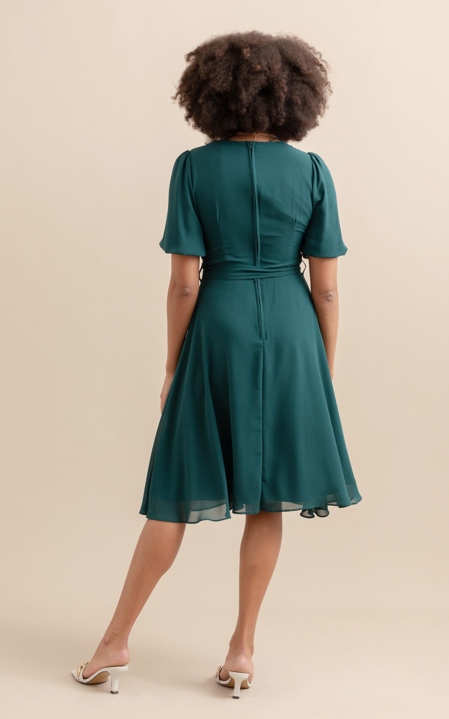 Chiffon Puff Sleeve Skater Dress Pagani
