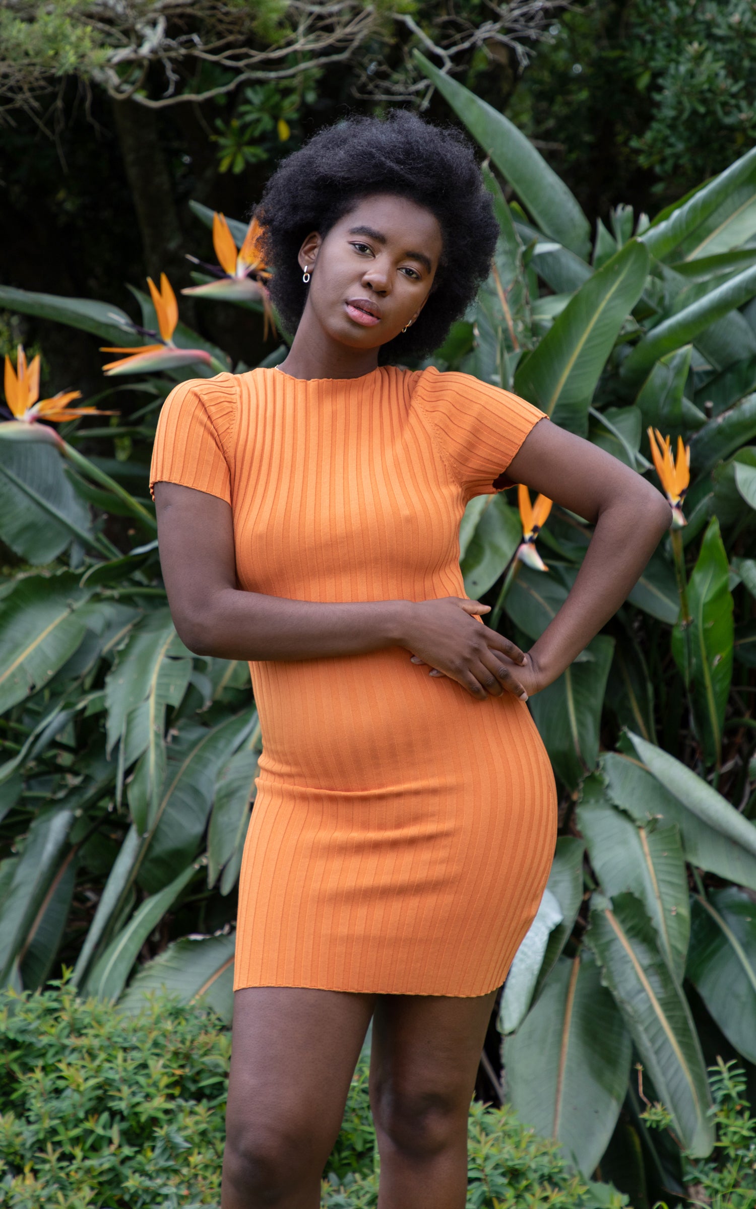 Knitwear Ribbed T-Shirt Dress | Pagani