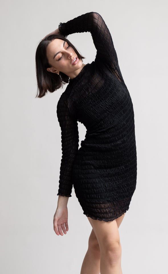 Mesh Shirred LS Dress Black