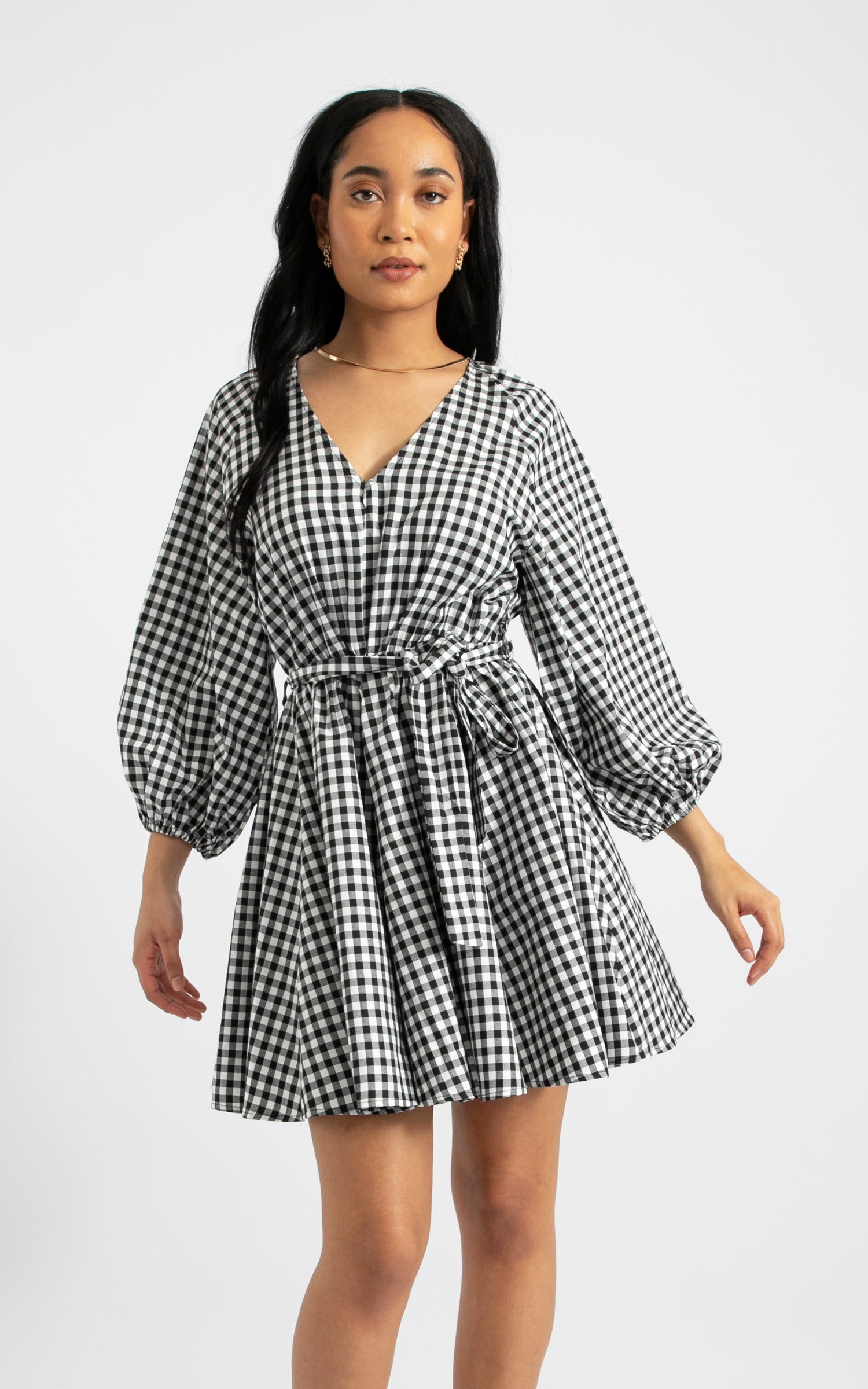 Poplin Gingham V Neck Swing Dress | Pagani
