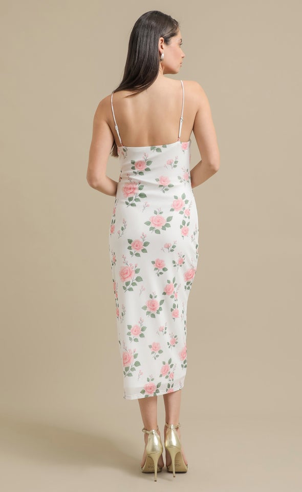 Printed Mesh Midi Dress Cream/floral