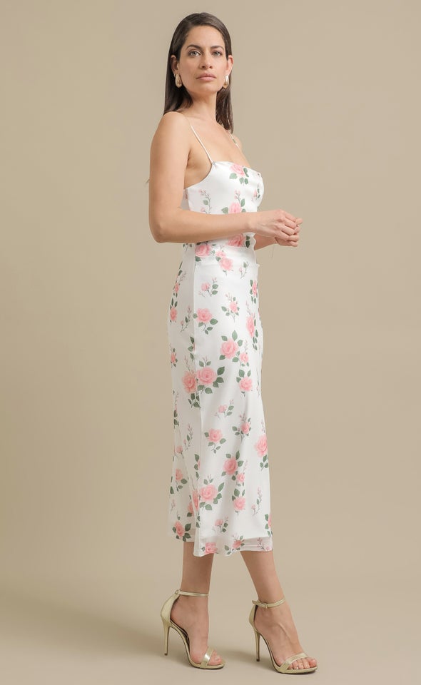Printed Mesh Midi Dress Cream/floral