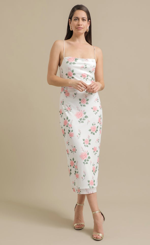 Printed Mesh Midi Dress Cream/floral