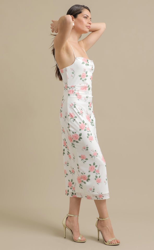 Printed Mesh Midi Dress Cream/floral