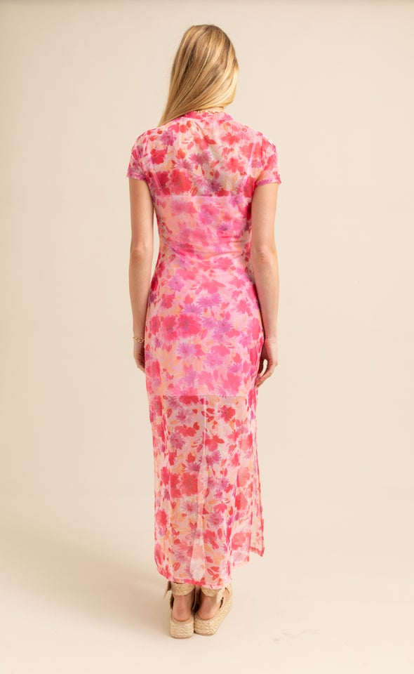 Printed Mesh SS Midi Dress Pink/floral