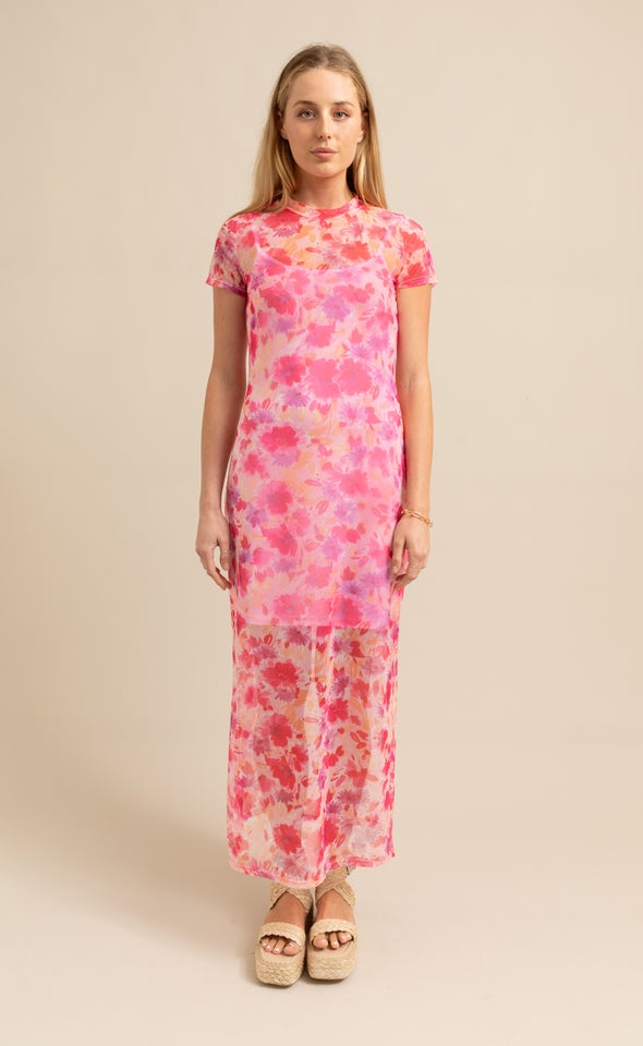 Printed Mesh SS Midi Dress Pink/floral