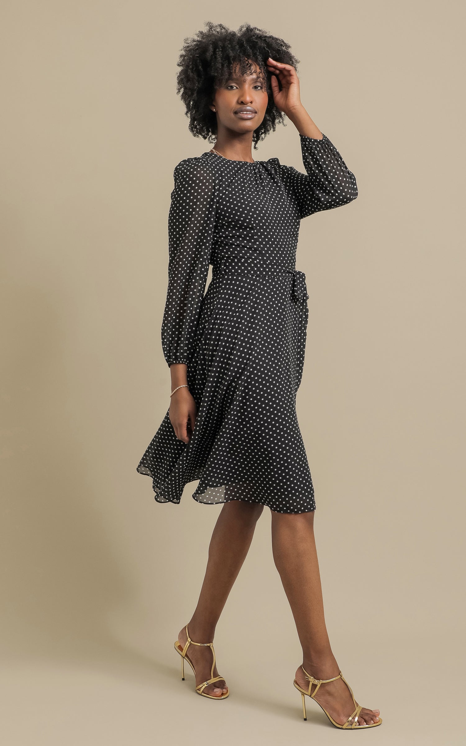 Shop our Ptd Chiffon LS Skater Dress in Black/polka dot | Pagani