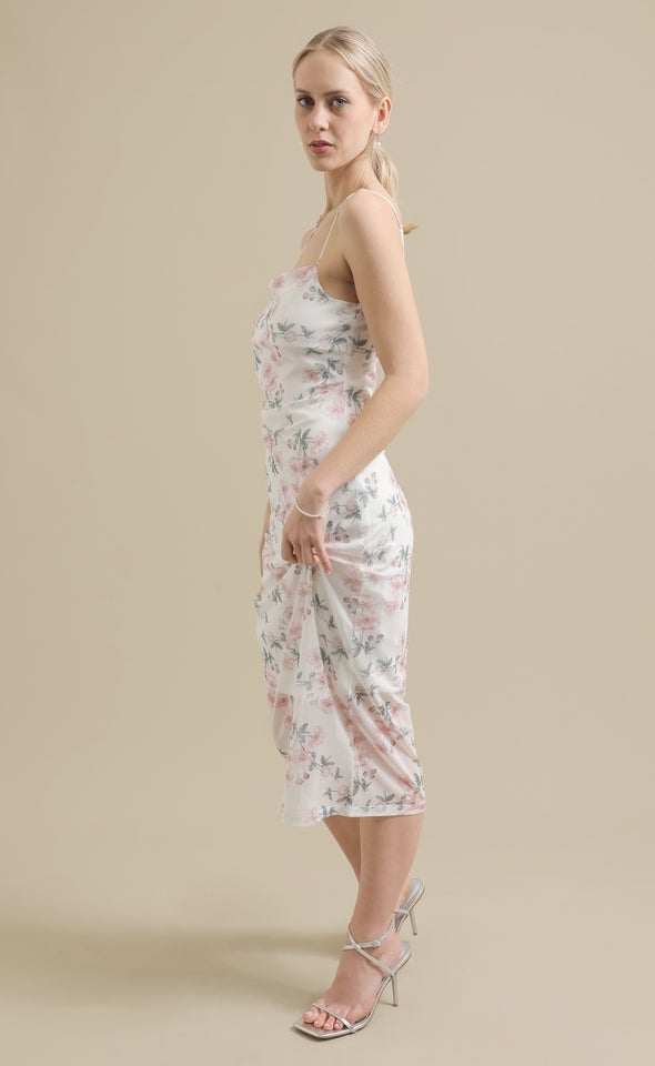 Ptd Mesh Midi Dress Cream/blush Floral