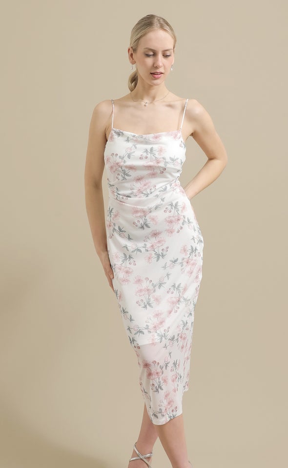 Ptd Mesh Midi Dress Cream/blush Floral