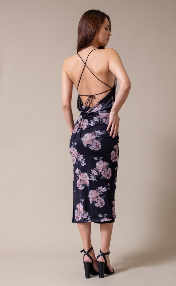 Ptd Mesh Open Back Dress Black/blush