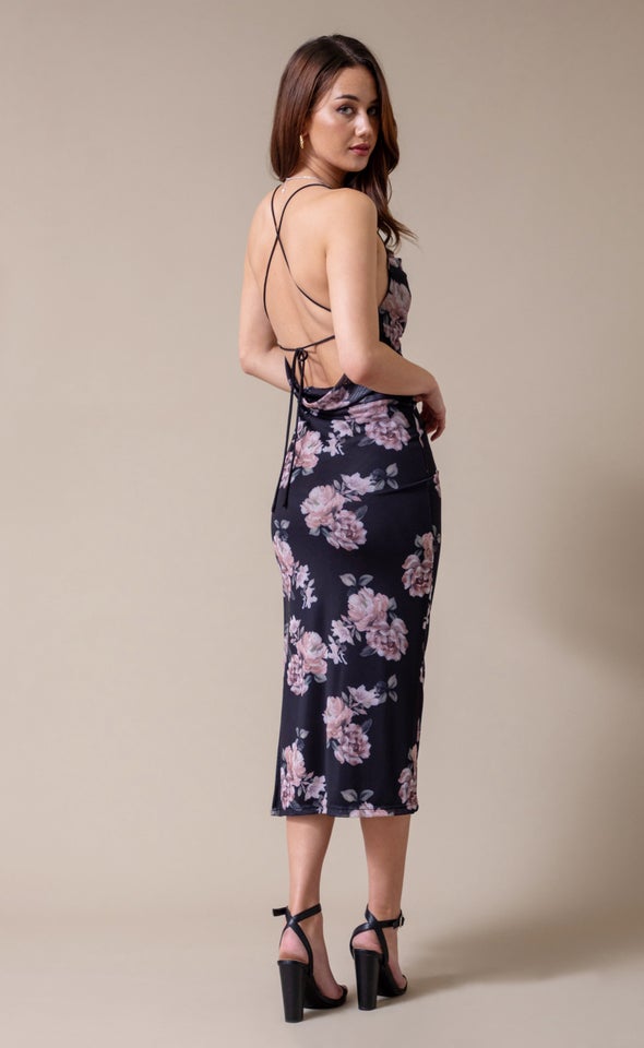 Ptd Mesh Open Back Dress Black/blush