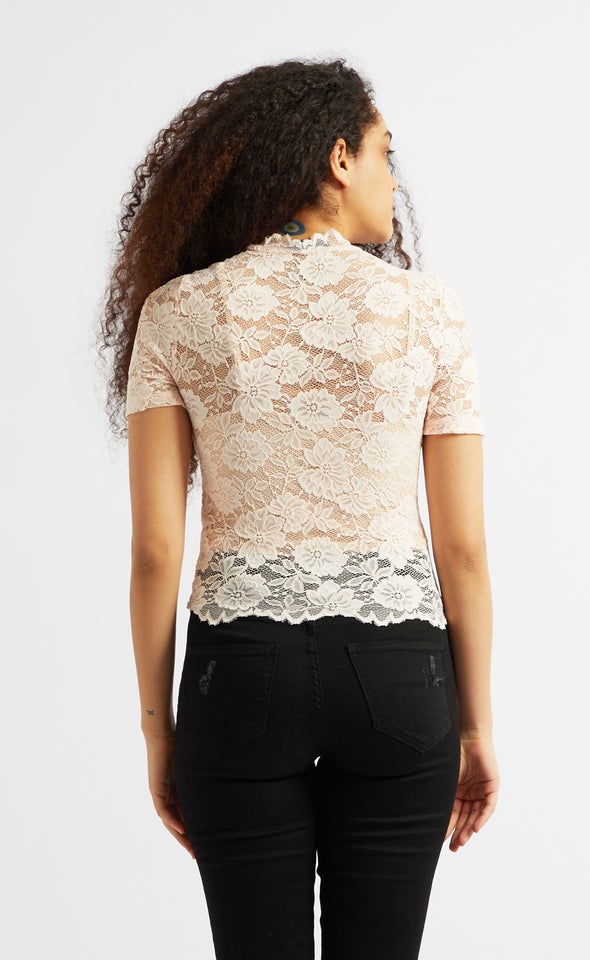 Scallop Lace Short Sleeve Crop Top Blush